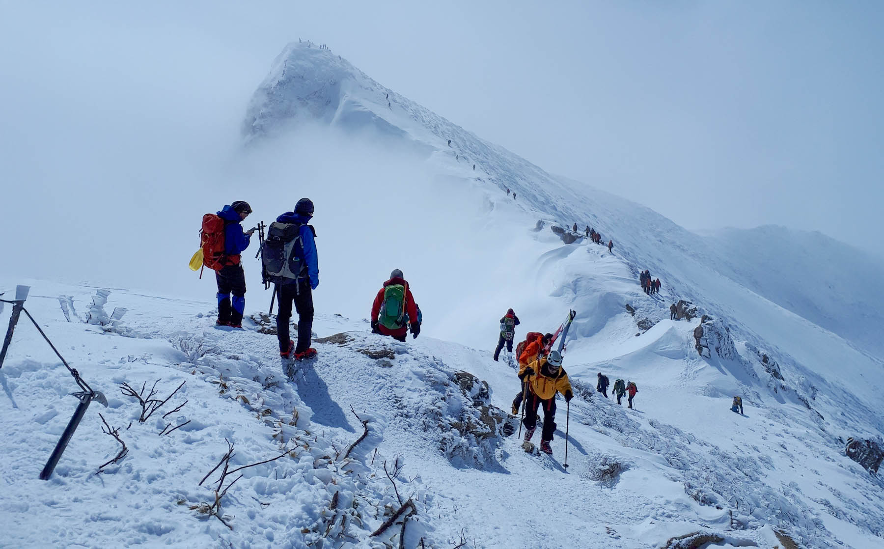 関東 群馬】気分爽快マウンテンボード！ - ワンドロップ｜群馬県