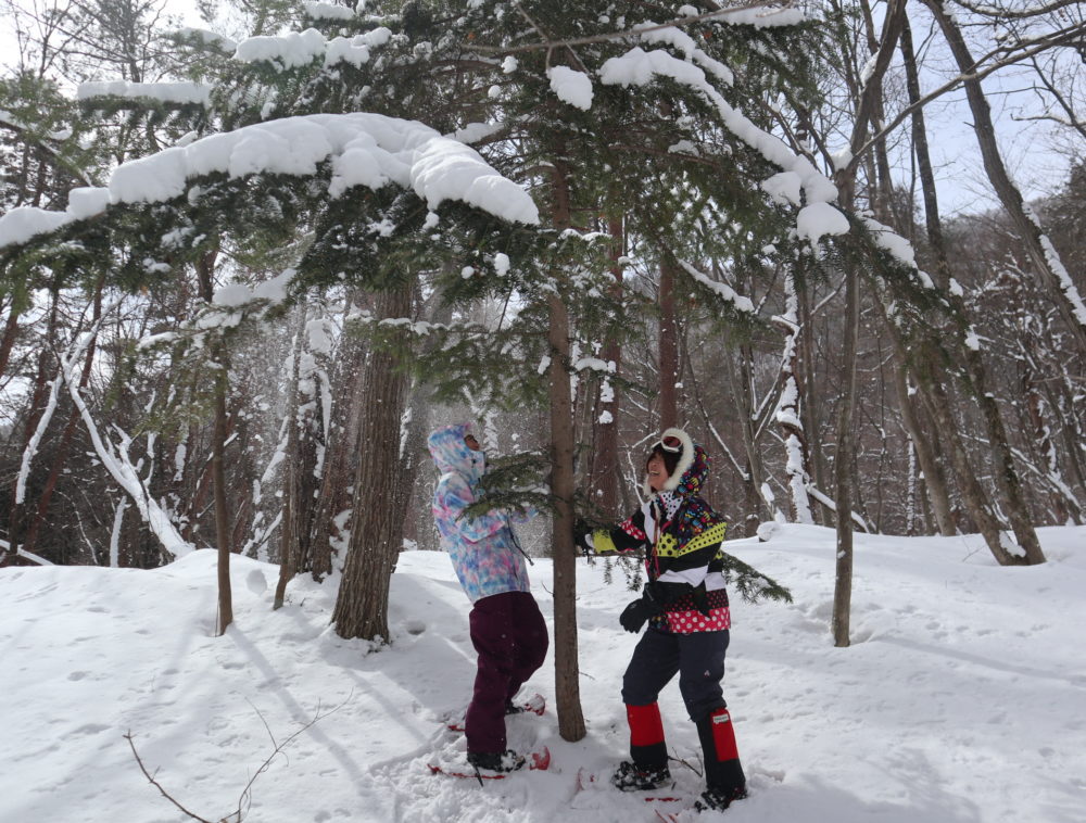 「大峰沼」スノートレッキング１日ツアー
