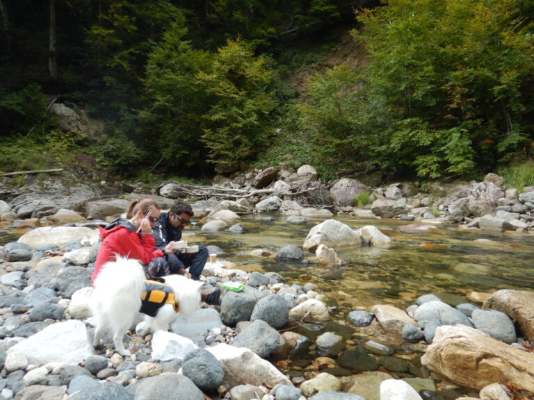 みなかみカヌー1日体験
