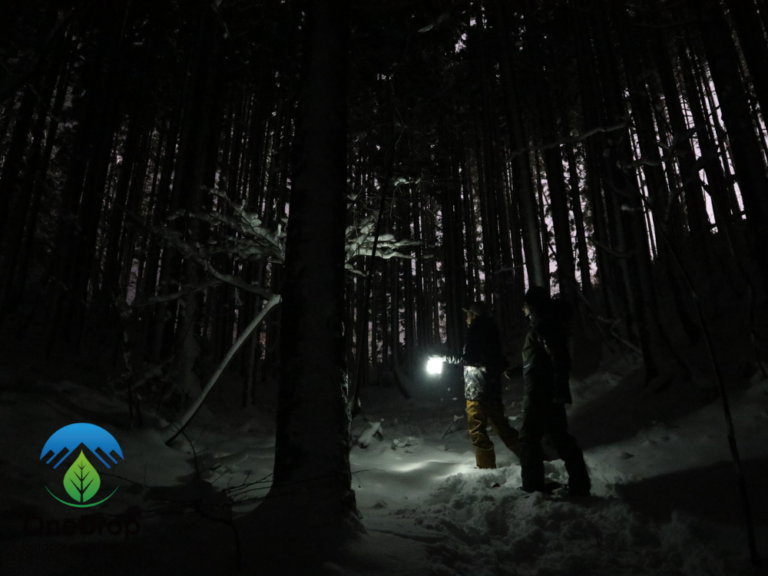 みなかみナイトスノートレッキングツアー