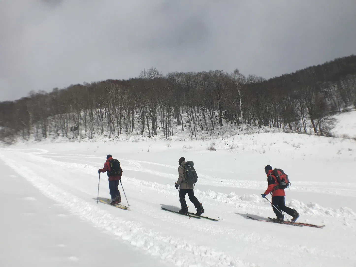 スプリットボードツアー