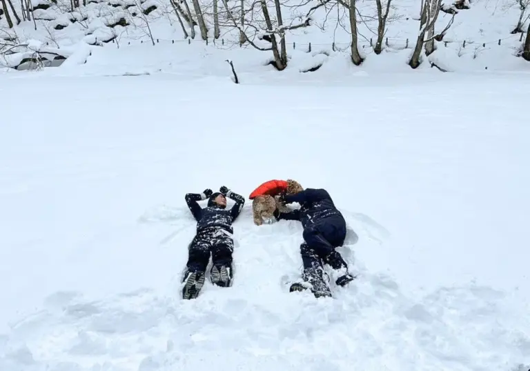 ドッグスノートレッキングツアー