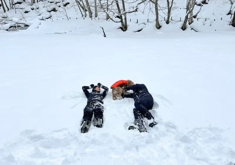 ドッグスノートレッキングツアー