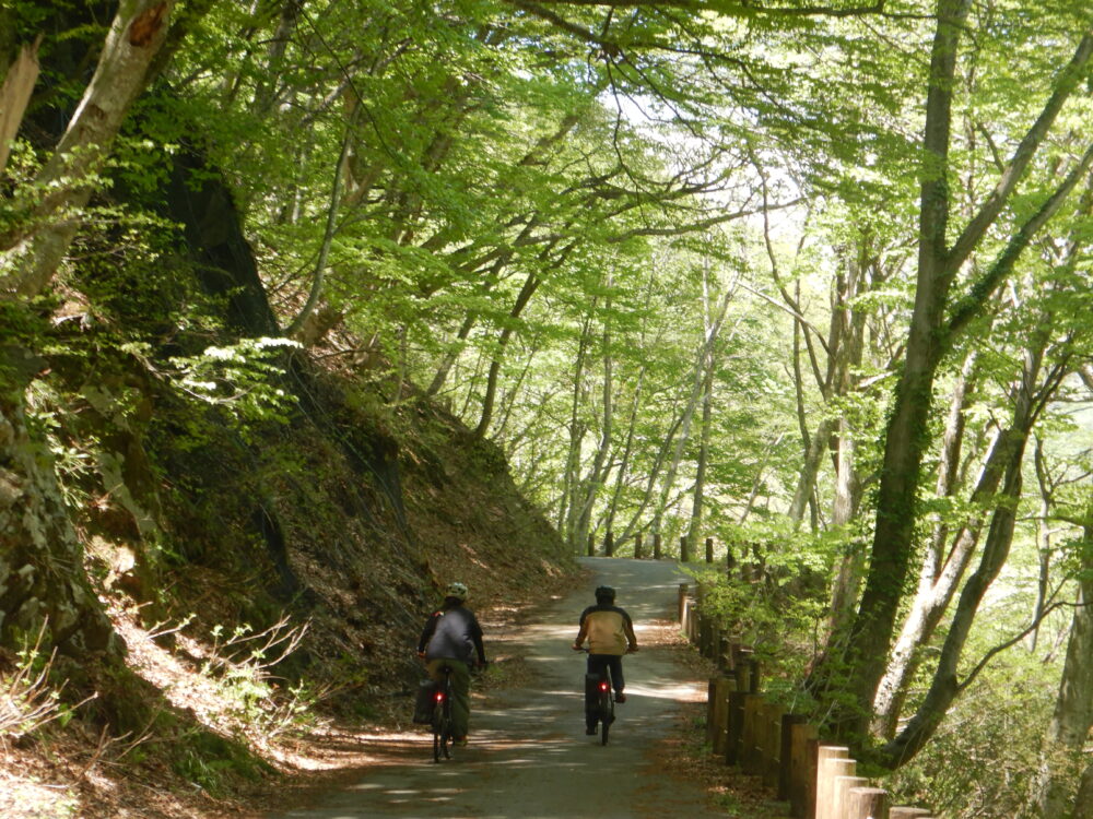 E-BIKE（E-バイク）レンタル