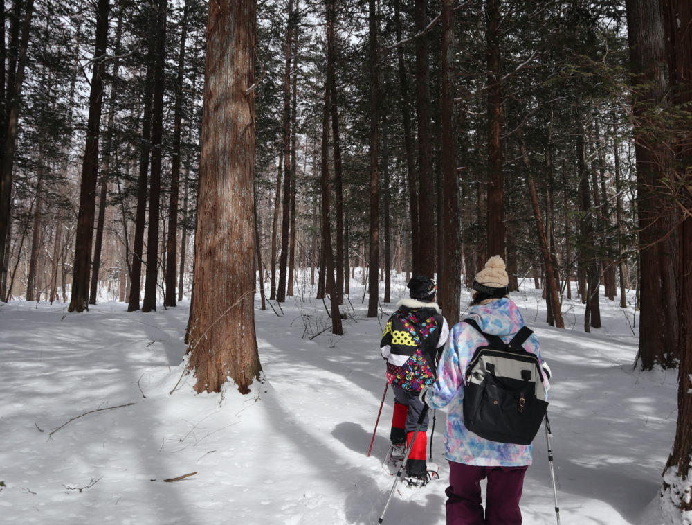 「大峰沼」スノートレッキング１日ツアー