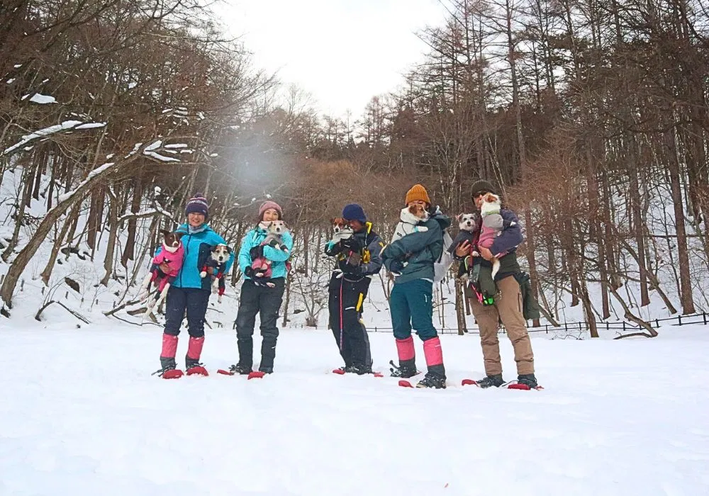 ドッグスノートレッキングツアー