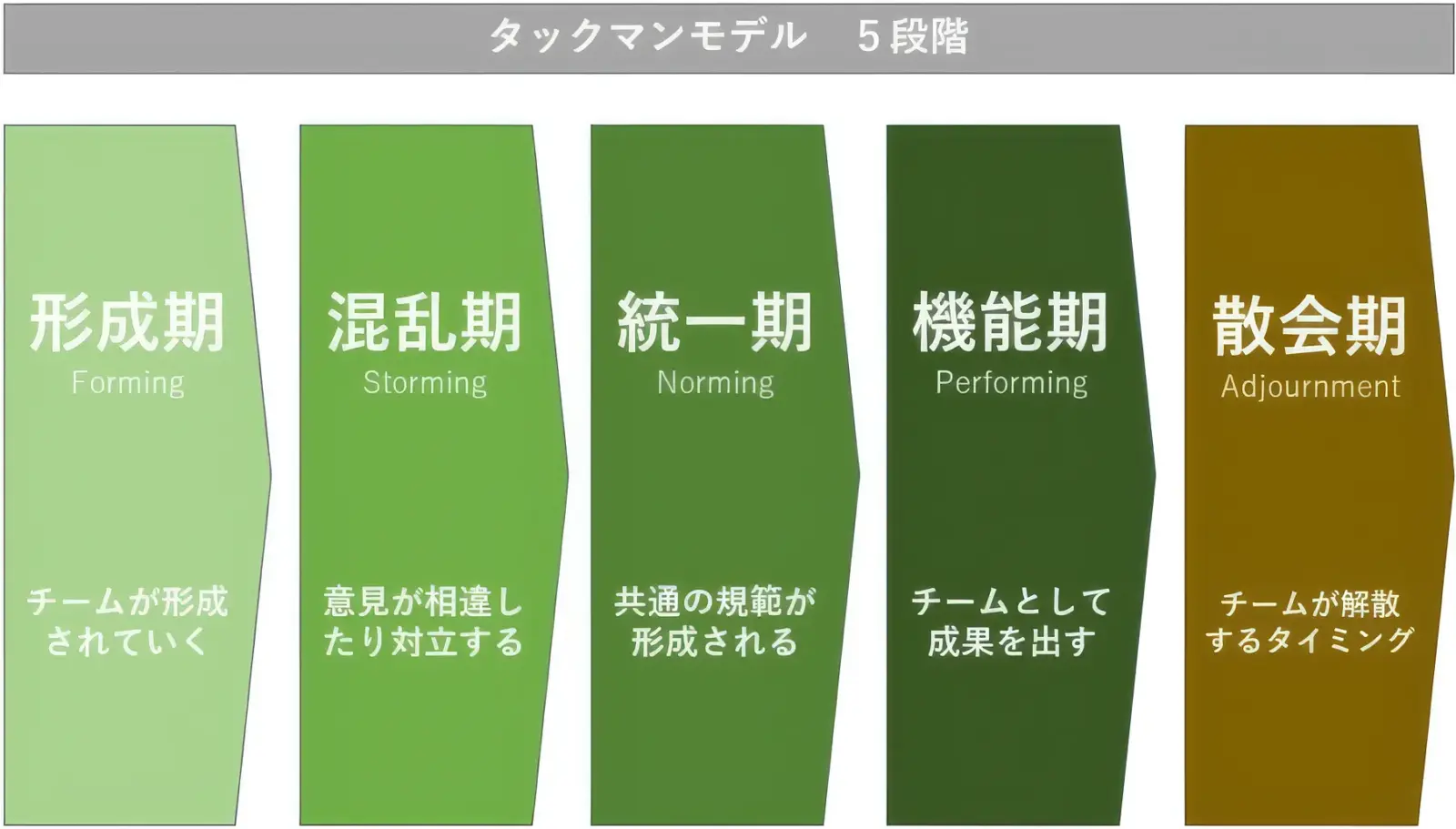 タックマンモデル　５段階