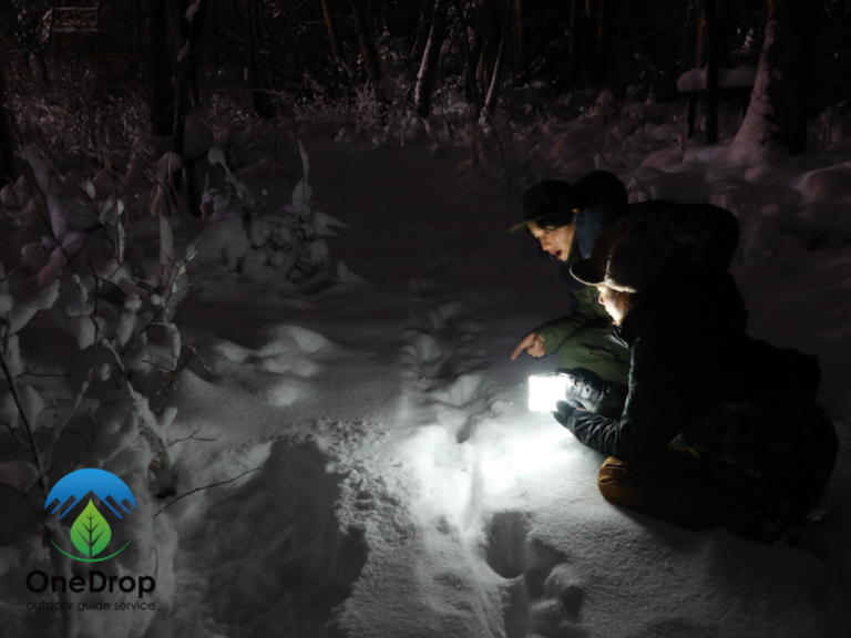 みなかみナイトスノートレッキングツアー