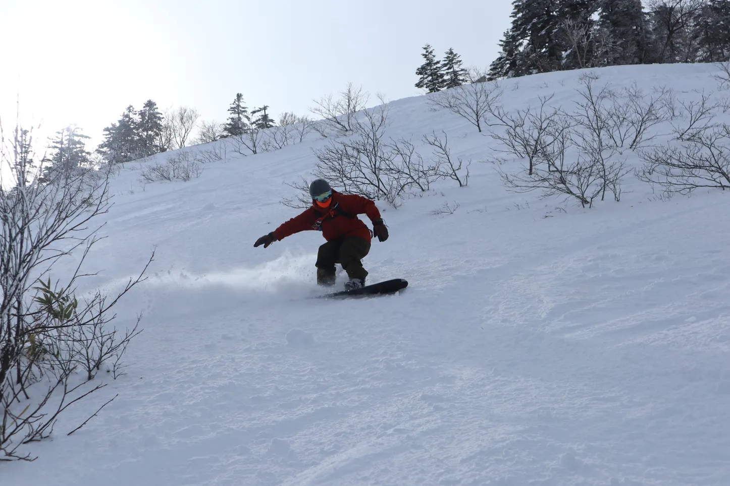 スプリットボードツアー