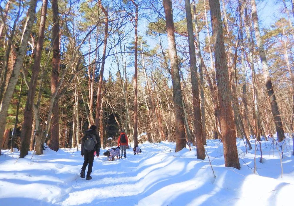 ドッグスノートレッキングツアー