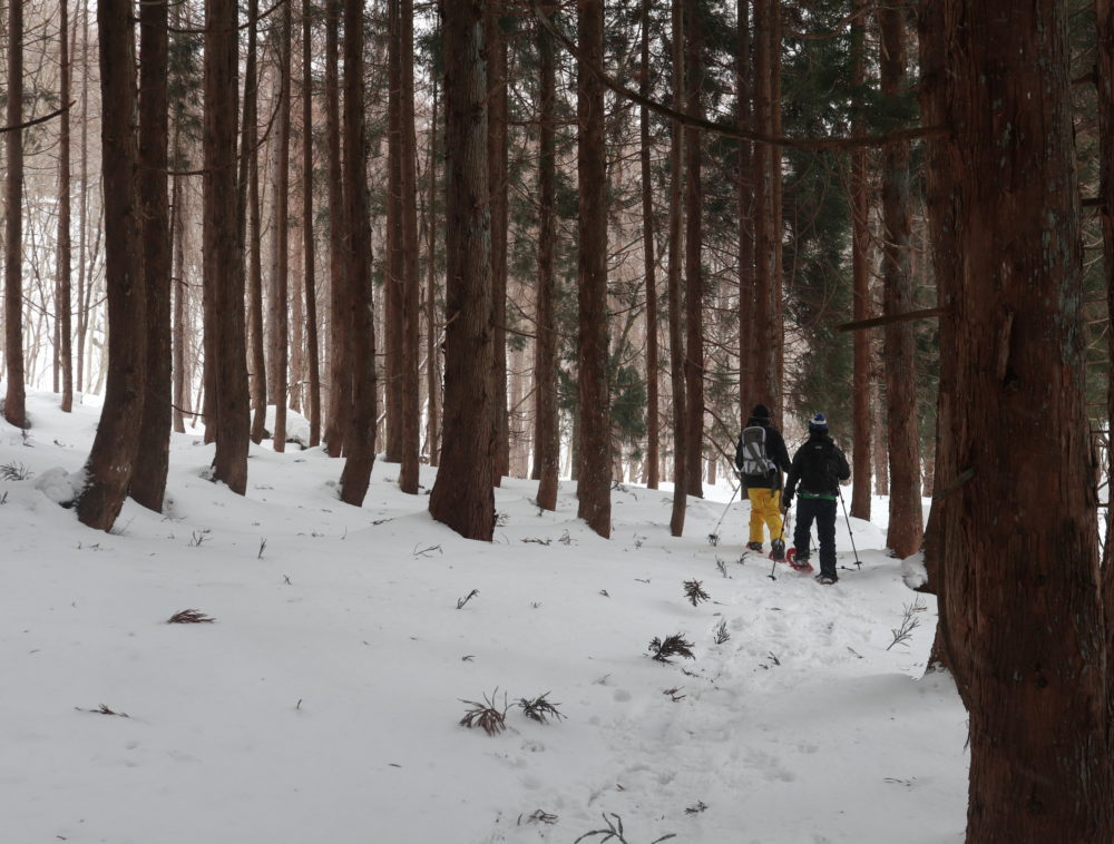 片品村・上州武尊山の麓でスノートレッキング半日ツアー