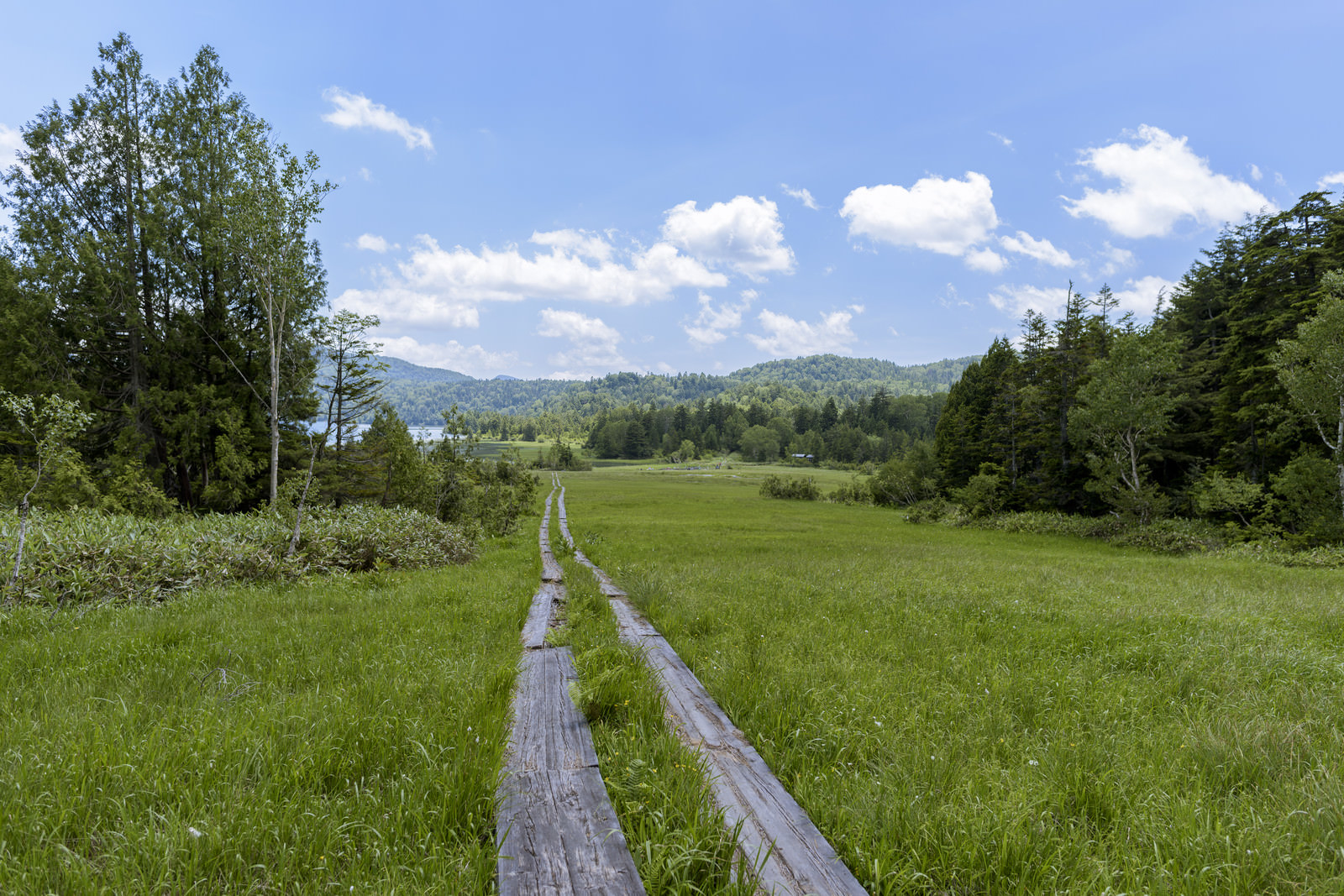 尾瀬ヶ原1日ガイドツアー