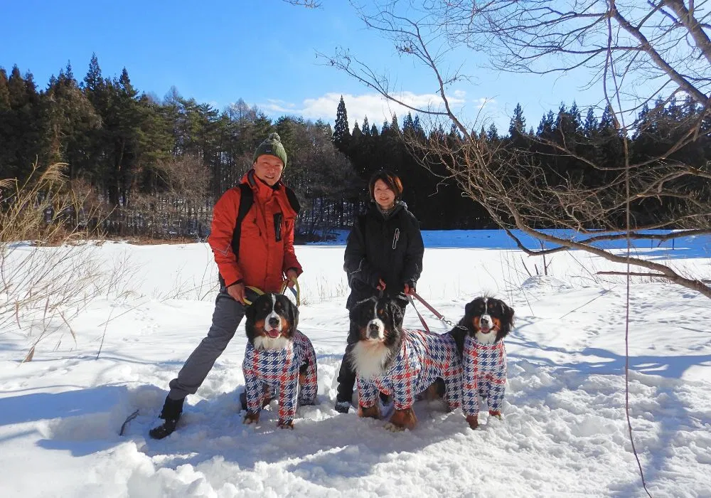 ドッグスノートレッキングツアー