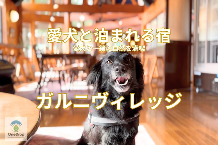 ガルニヴィレッジ