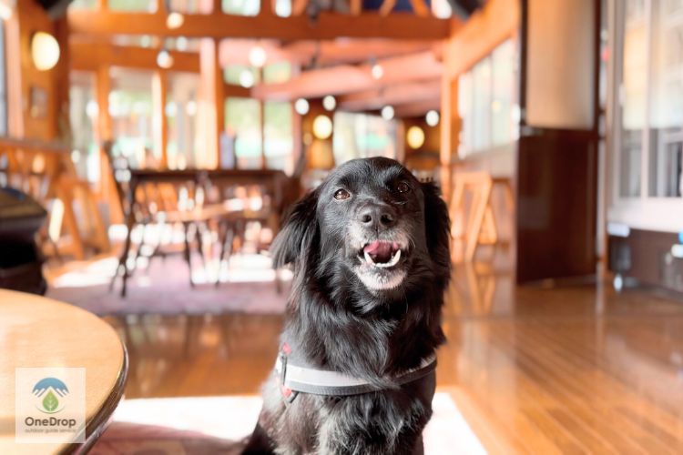 ガルニヴィレッジ