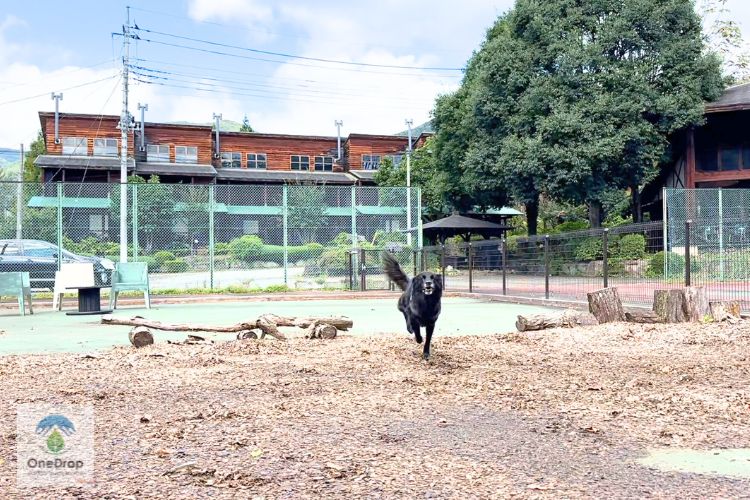 ガルニヴィレッジ