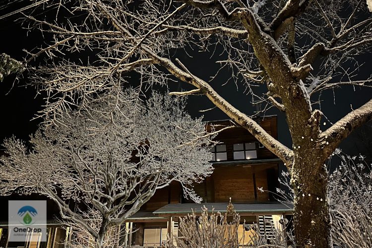 ガルニヴィレッジ